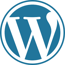 Word Press expert